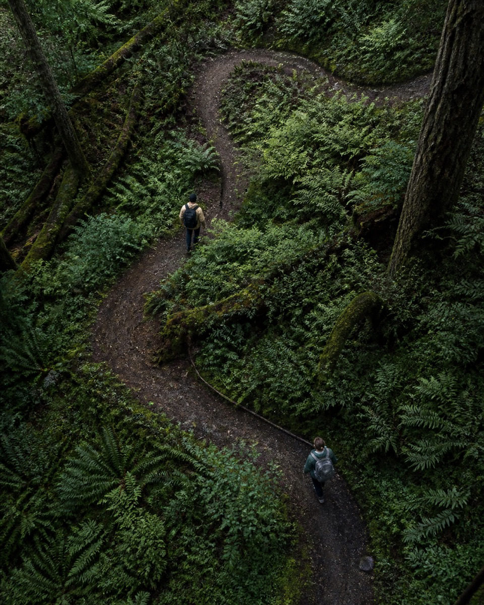 Two hikers following an S-shaped trail through dense green forest